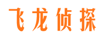 淮上市调查公司